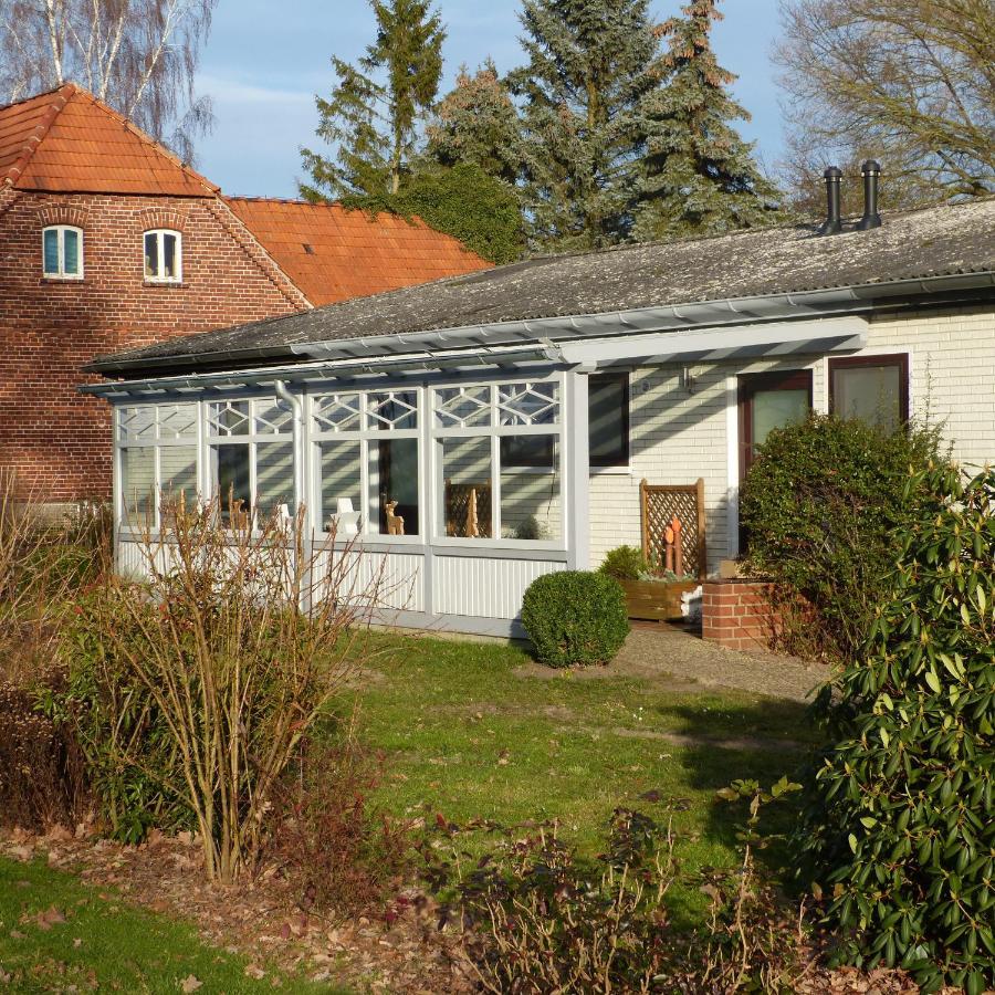 Zur Amsel Apartment Damnatz Exterior photo