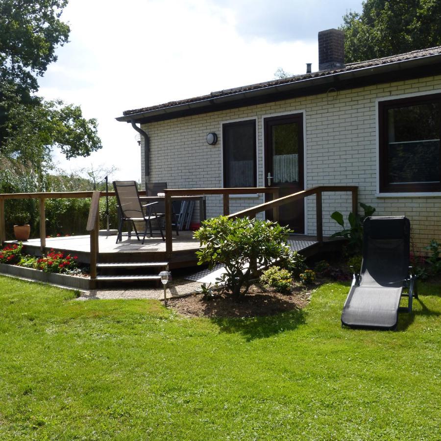 Zur Amsel Apartment Damnatz Exterior photo