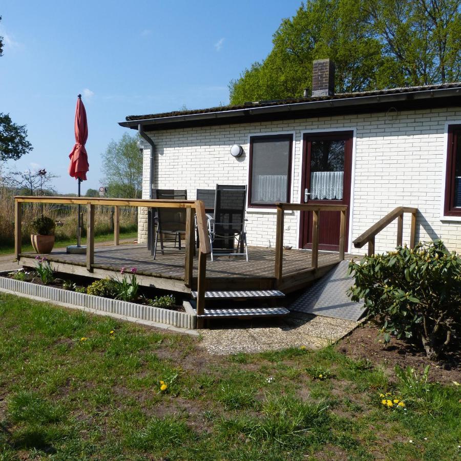 Zur Amsel Apartment Damnatz Exterior photo