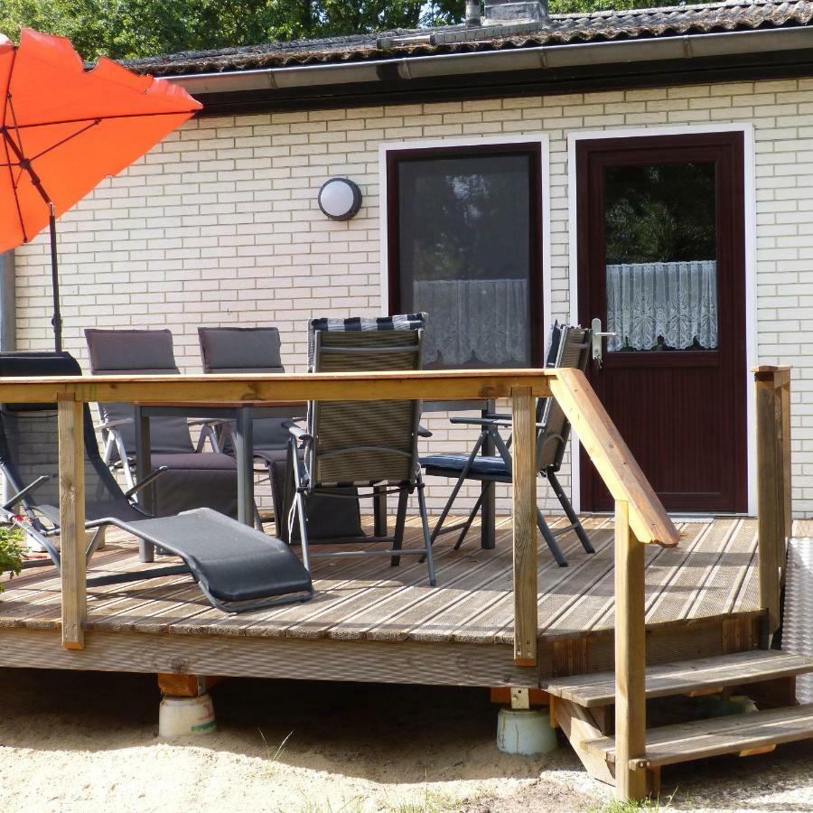 Zur Amsel Apartment Damnatz Exterior photo